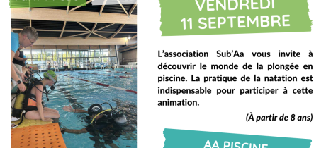 Plongée