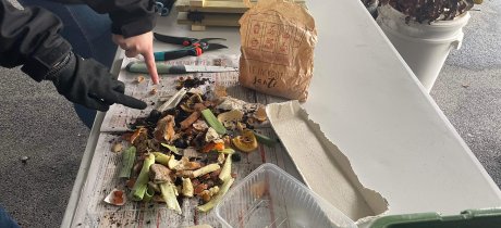 Tri à la source des biodéchets Tri à la source des biodéchets