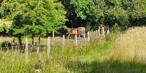 Transition écologique et énergétique