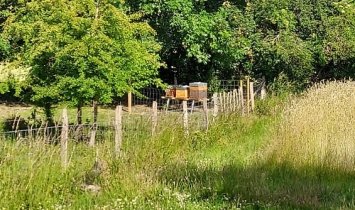 Transition écologique et énergétique